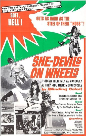  She-Devils on Wheels Poster