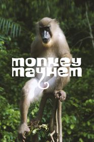  Monkey Mayhem Poster