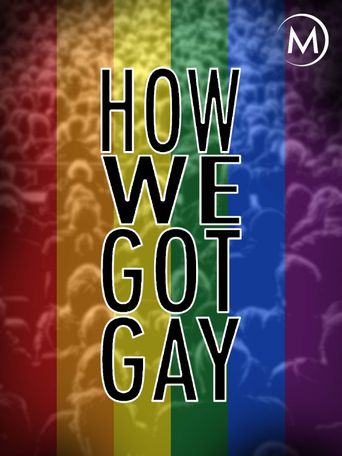  How We Got Gay Poster