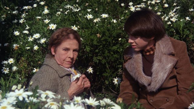Harold and Maude Backdrop