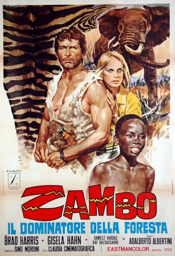  Zambo, King Of The Jungle Poster