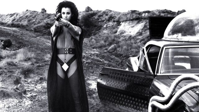 Tuareg: The Desert Warrior Backdrop