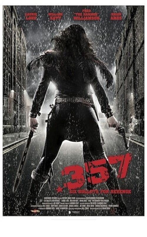 .357 Poster