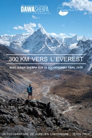  300 KM TO EVEREST Poster