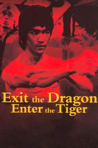  Exit the Dragon, Enter the Tiger Poster