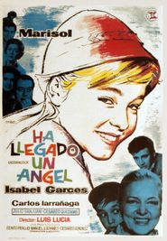  An Angel Has Appeared Poster