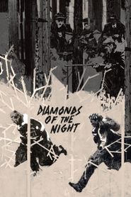  Diamonds of the Night Poster