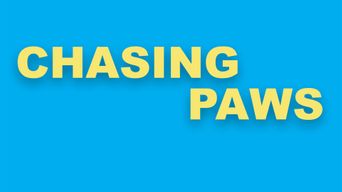 Chasing Paws Poster