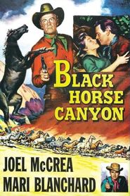  Black Horse Canyon Poster