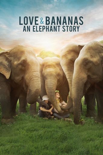  Love & Bananas: An Elephant Story Poster