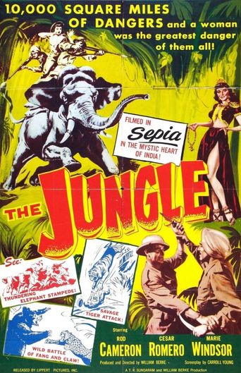  The Jungle Poster