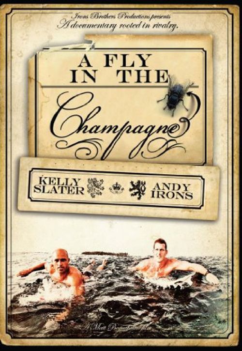 A Fly in the Champagne Poster