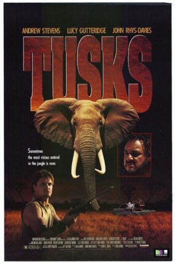  Tusks Poster