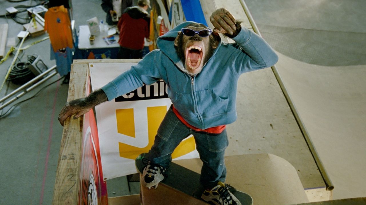 MVP 2: Most Vertical Primate (2001): Where to Watch and Stream Online