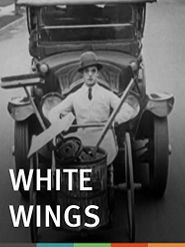  White Wings Poster