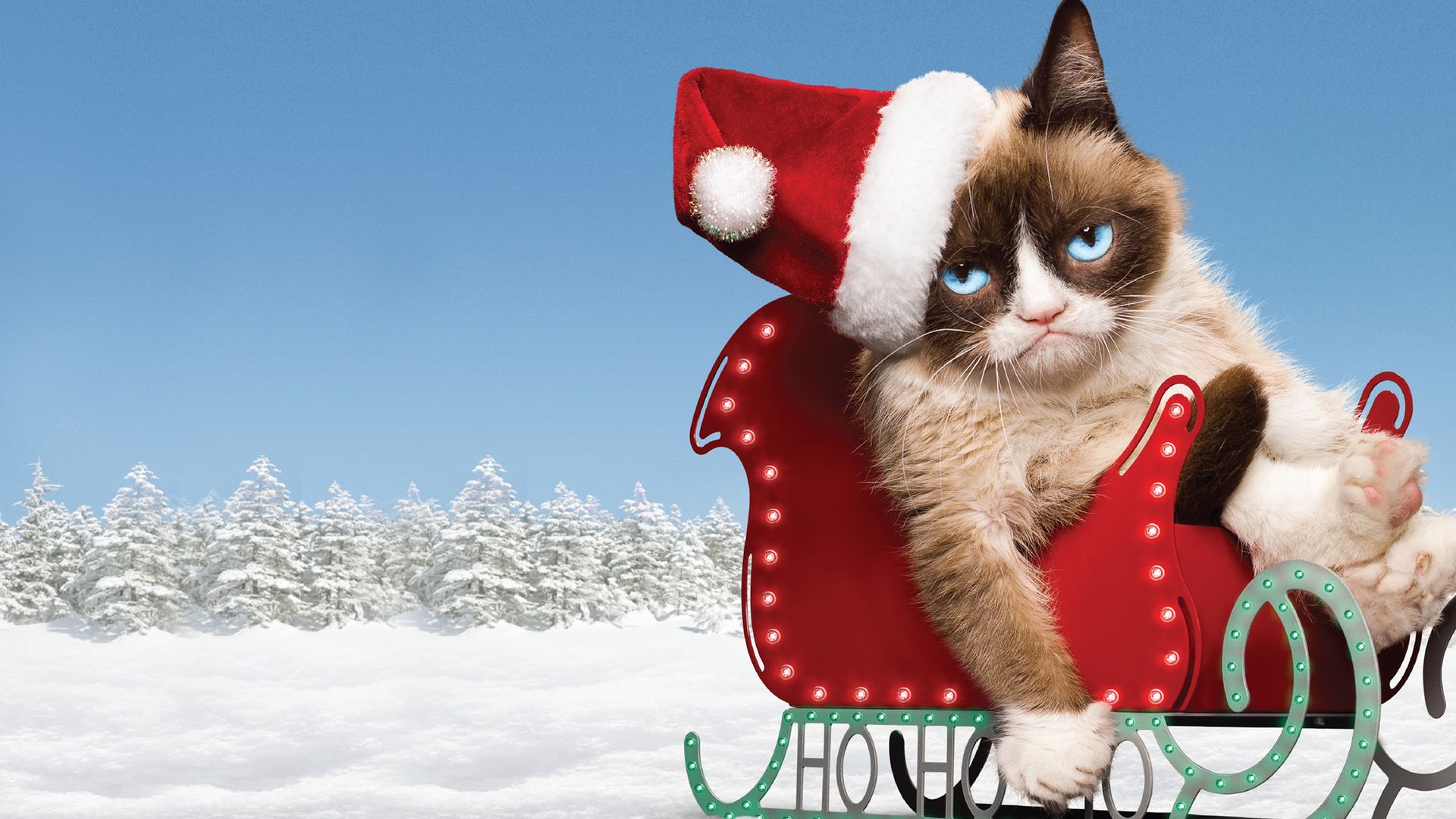 Grumpy Cat's Worst Christmas Ever Backdrop