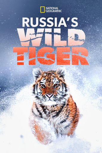  Russia's Wild Tiger Poster