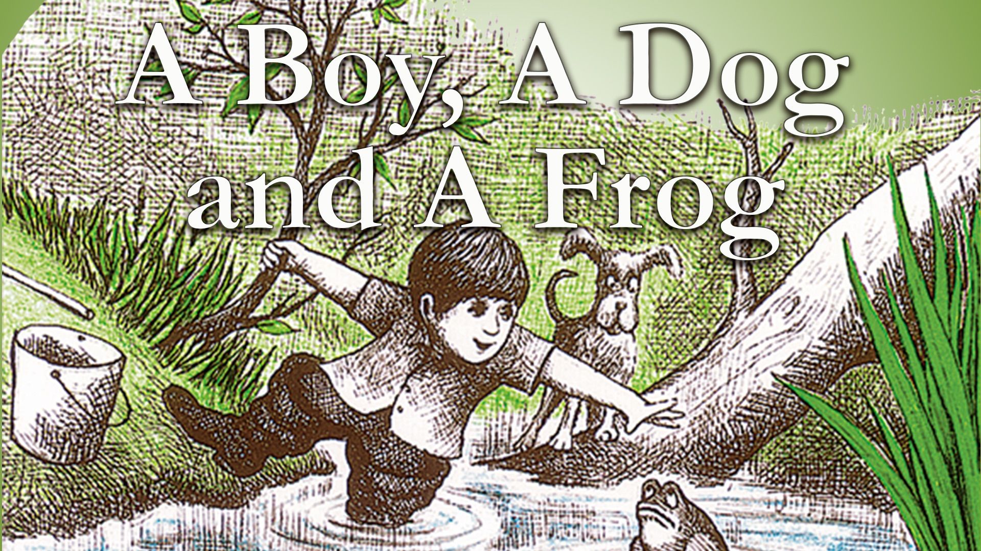 A Boy, a Dog and a Frog Backdrop