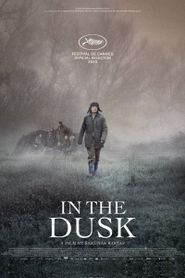  In the Dusk Poster