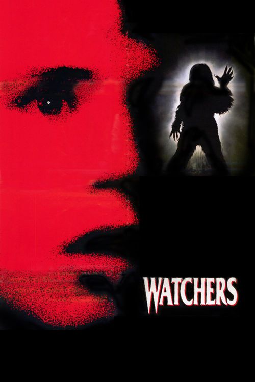 The Watchers (2024): Where to Watch and Stream Online