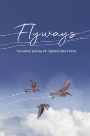  Flyways Poster