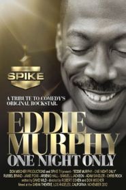  Eddie Murphy: One Night Only Poster