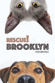  Rescue! Brooklyn Poster