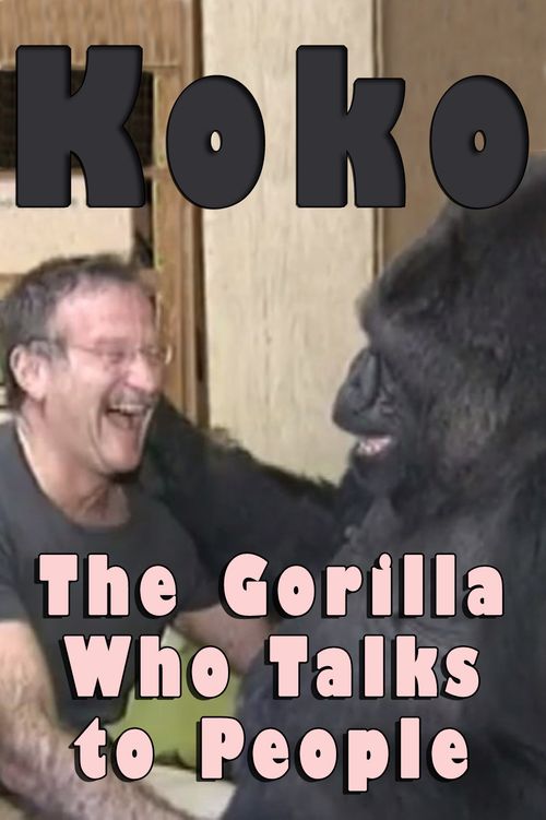 Koko: The Gorilla Who Talks to People Poster