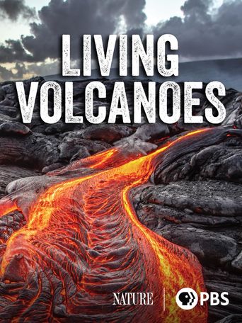  Living Volcanoes Poster