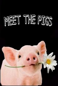 Meet the Pigs Poster