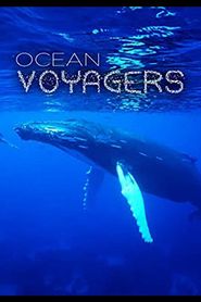  Ocean Voyagers Poster