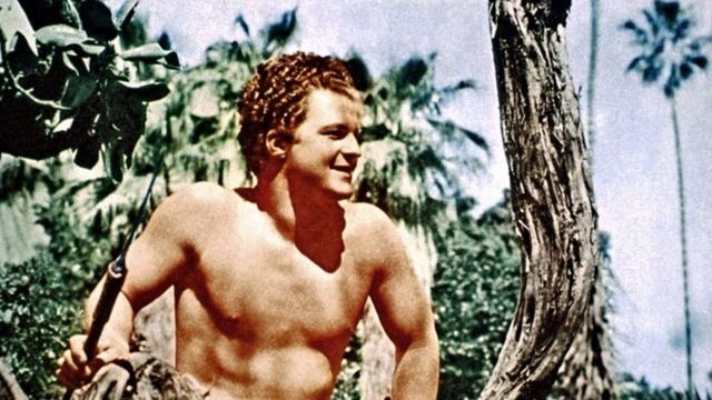 Lord of the Jungle Backdrop