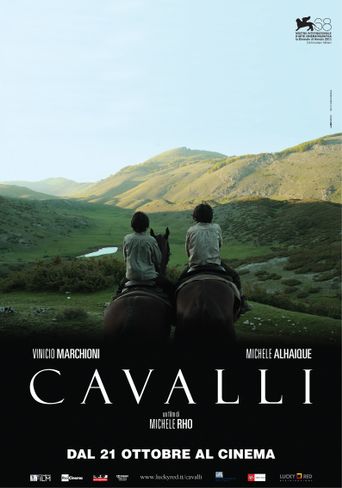  Cavalli Poster