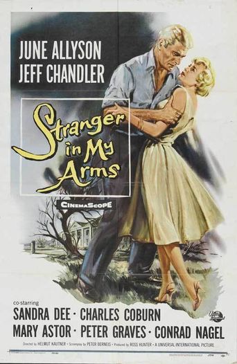  A Stranger in My Arms Poster