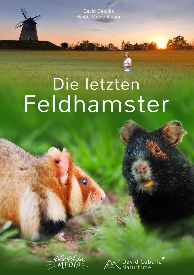Die letzten Feldhamster