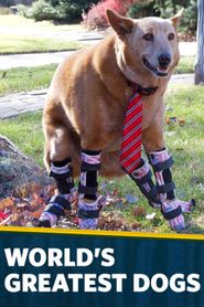  World's Greatest Dogs Poster