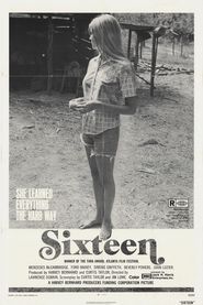  Sixteen Poster