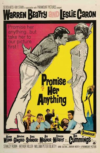  Promise Her Anything Poster
