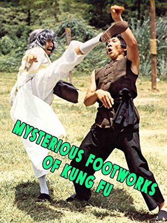  Mysterious Footwork of Kung Fu Poster