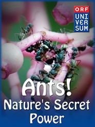  Ants: Nature's Secret Power Poster