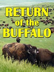  The Return of the Buffalo: Restoring the Great American Prairie Poster