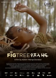  Fig Tree Poster