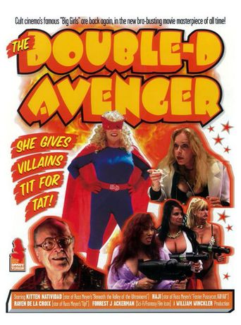  The Double-D Avenger Poster