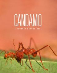  Candamo: Journey Beyond Hell Poster