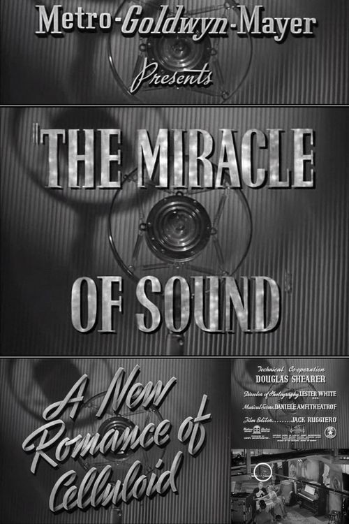 The Miracle of Sound Poster