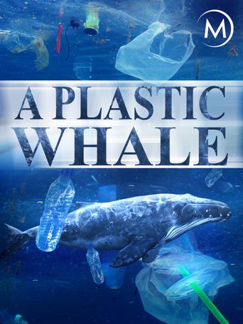  A Plastic Whale Poster