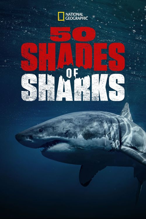 50 Shades of Sharks Poster
