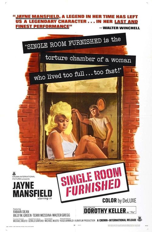 Single Room Furnished Poster