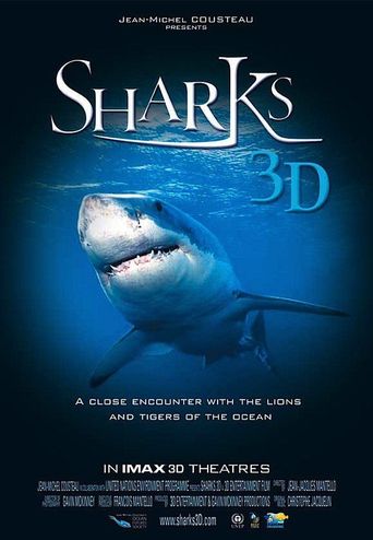  Sharks Poster