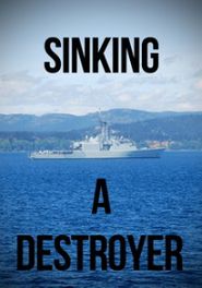  Sinking a Destroyer Poster